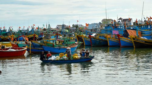 Free Colorful fishing boats in Phan Thiet, Vietnam, showcasing local maritime culture. Stock Photo