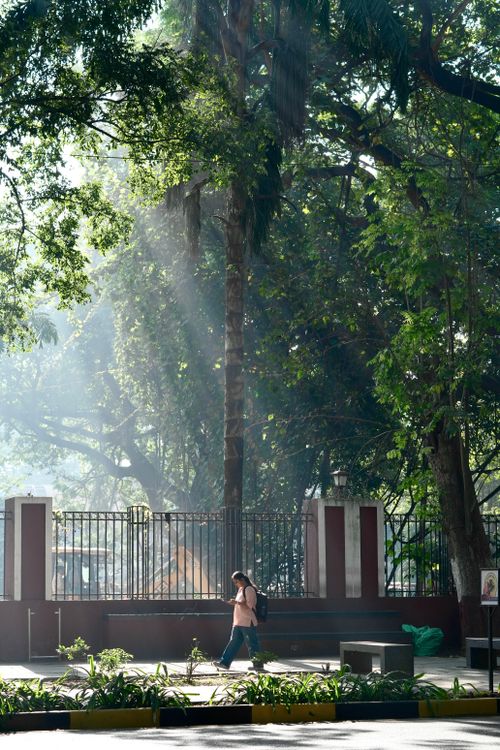 Free A serene morning scene of a woman strolling through a sunlit park in Pune, India. Stock Photo
