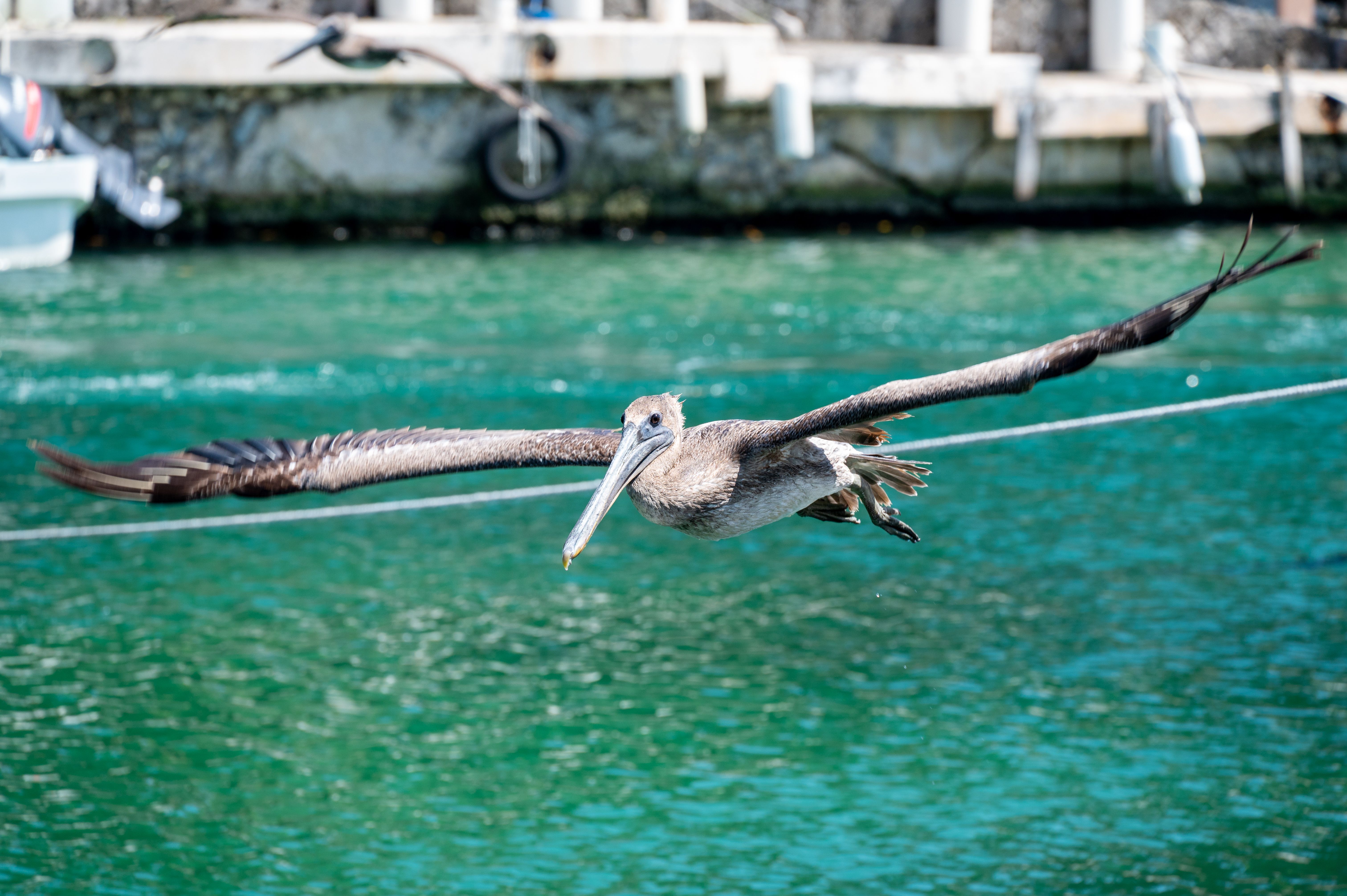 Puerto Aventuras — Puerto Aventuras