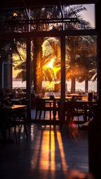 Scenic sunset view with palm trees through a restaurant window. Perfect for travel and lifestyle imagery.