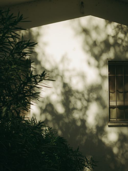 Free Dappled sunlight on a rustic house facade with lush foliage creates a serene ambiance. Stock Photo