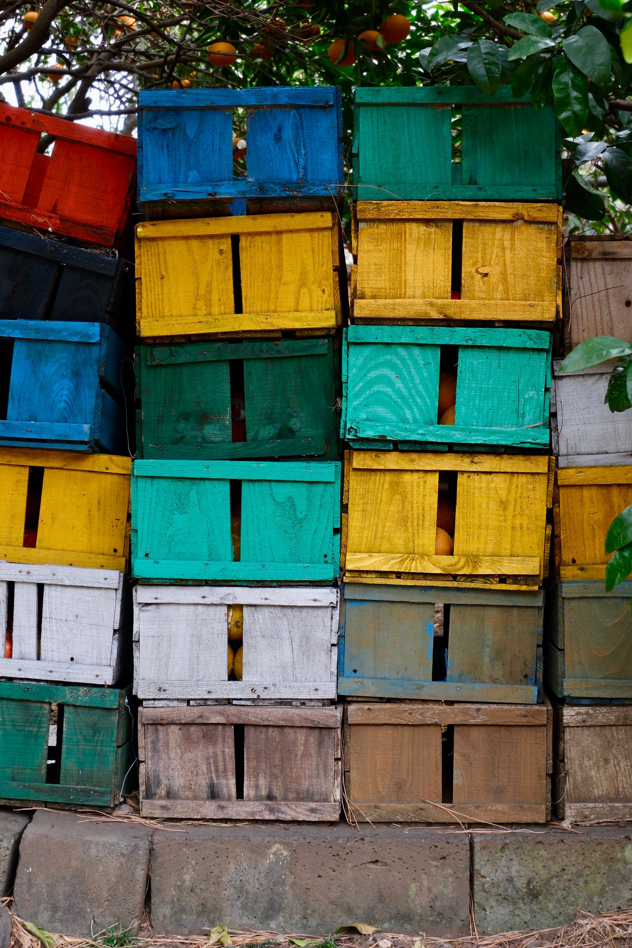 Orange Storage Photos, Download The BEST Free Orange Storage Stock ...
