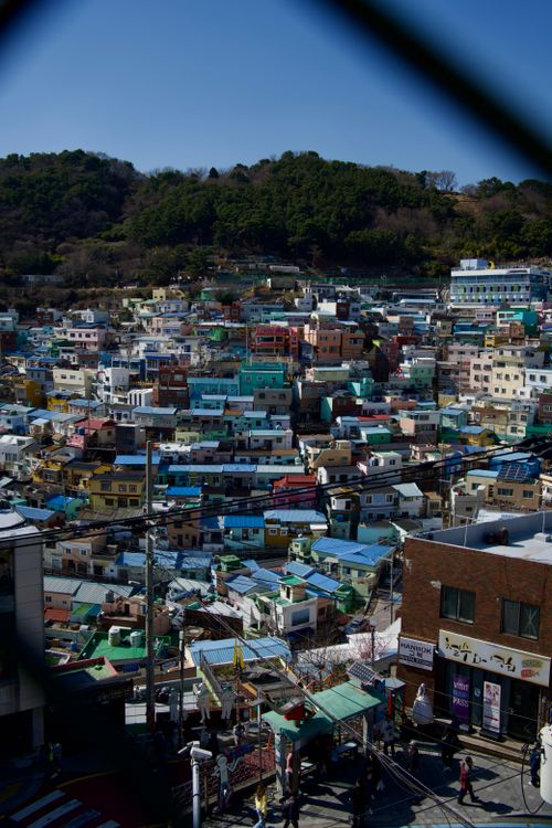 Free Aerial view of the vibrant, colorful Gamcheon Culture Village in Busan, South Korea under a clear sky. Stock Photo