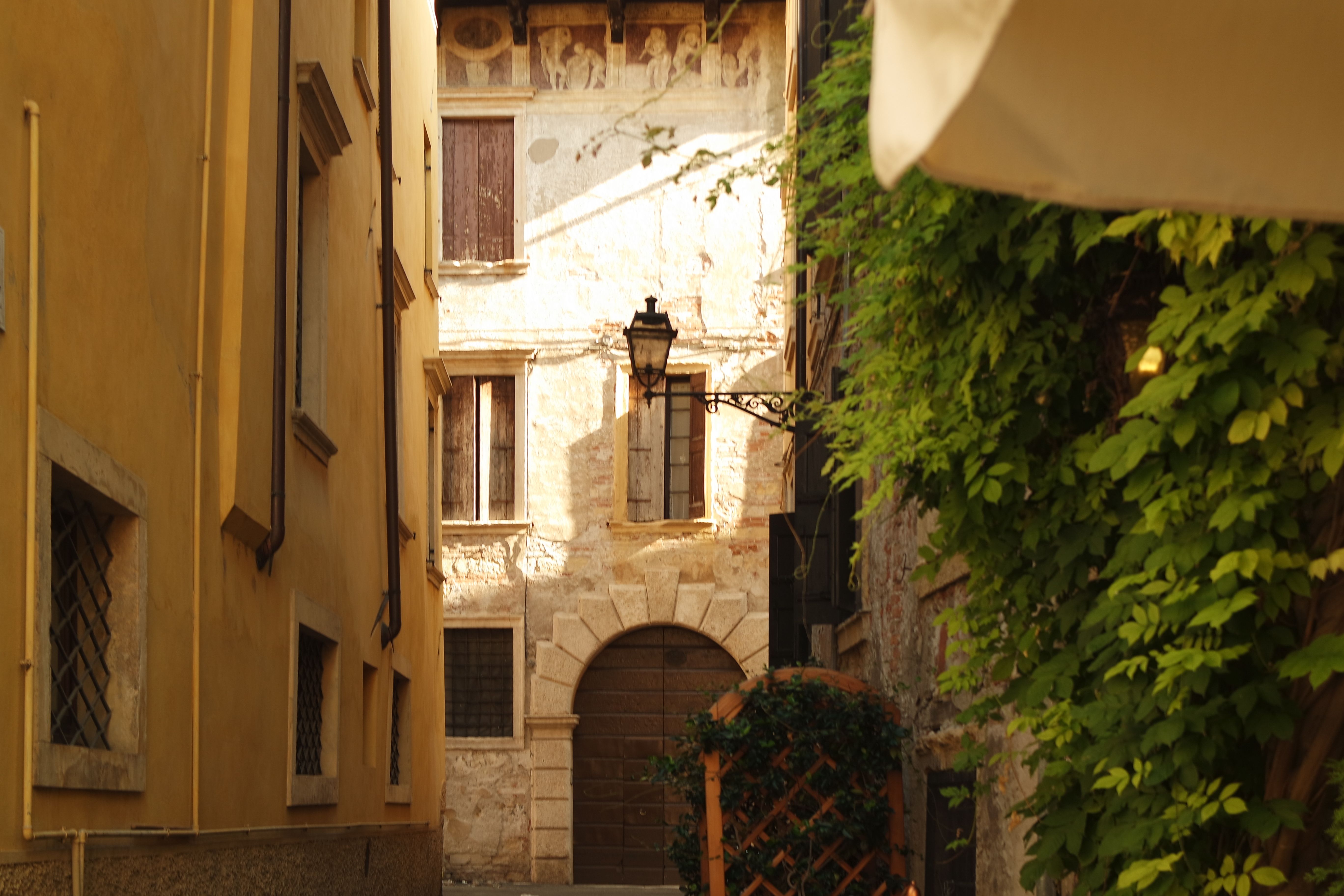 City Guide: Bologna, Italy According To Top Tour Guides — Photo by sabrina martins on Pexels