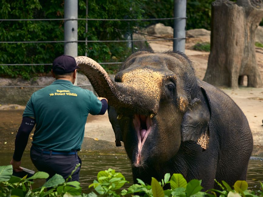 Zoo staff express safety concerns following recent workforce redundancies