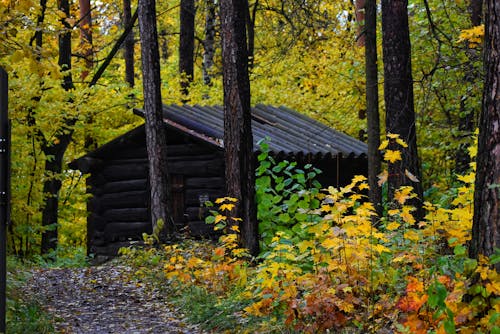 Kostnadsfri bild av norge, oslo