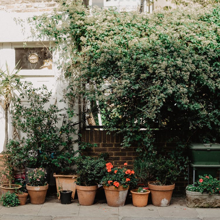Gardening during coronavirus quarantine