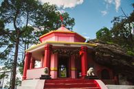 Beautiful Hindu temple amidst pine trees in Binsar, Uttarakhand under a clear sky.