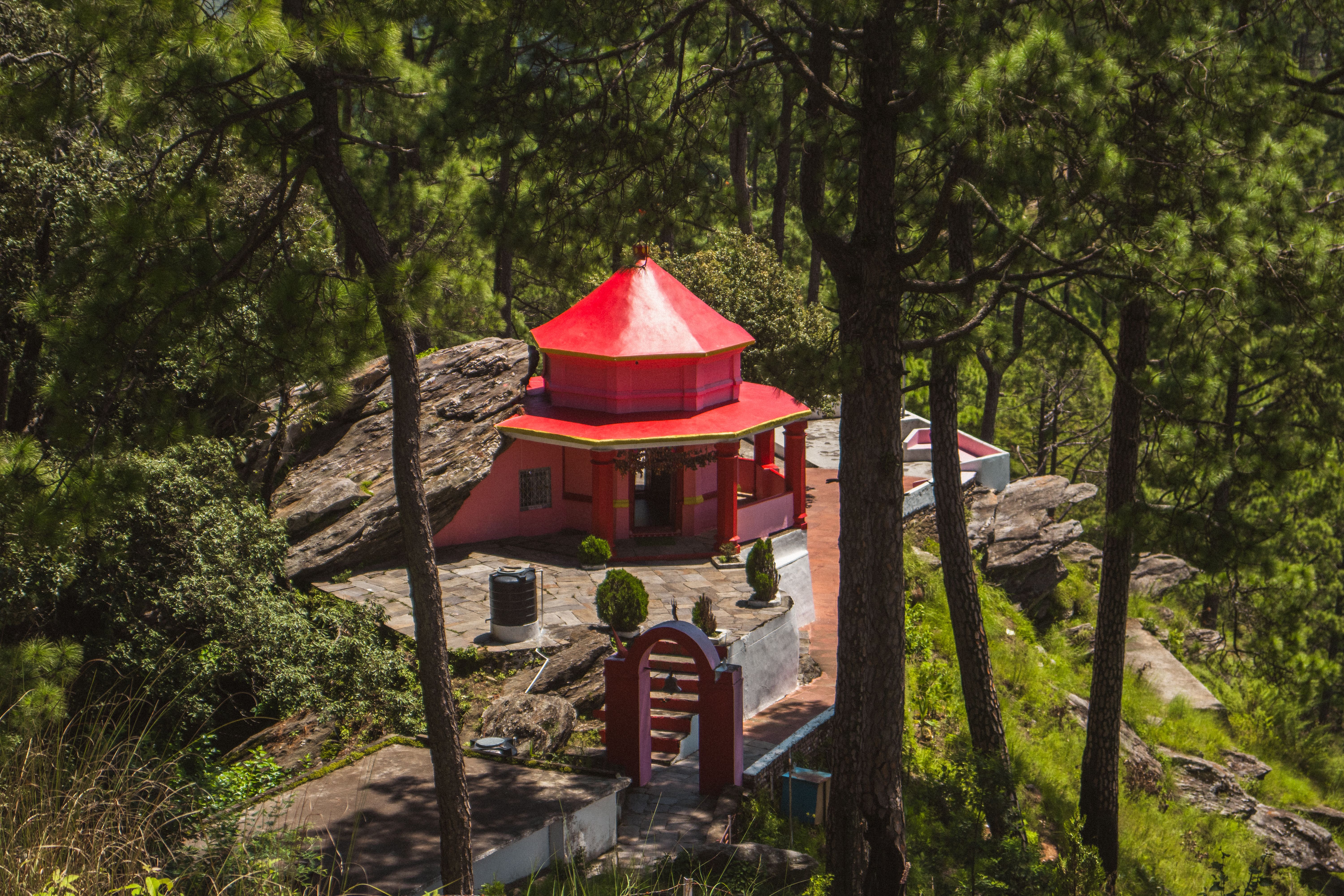 A charming red temple nestled among pine trees in Binsar, Uttarakhand, India, during a sunny day.