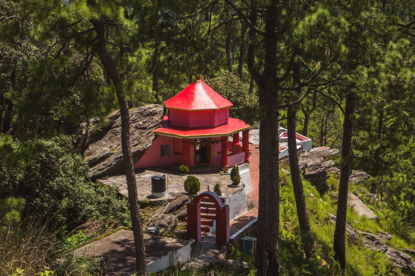 Binsar — Uttarakhand travel photograph 2