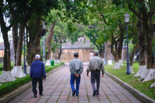 Three senior men strolling down a tree-lined path in peaceful Hue, Vietnam park scene.