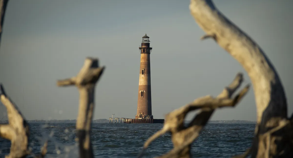 When to Visit Charleston, SC: The Ultimate Season-by-Season Guide