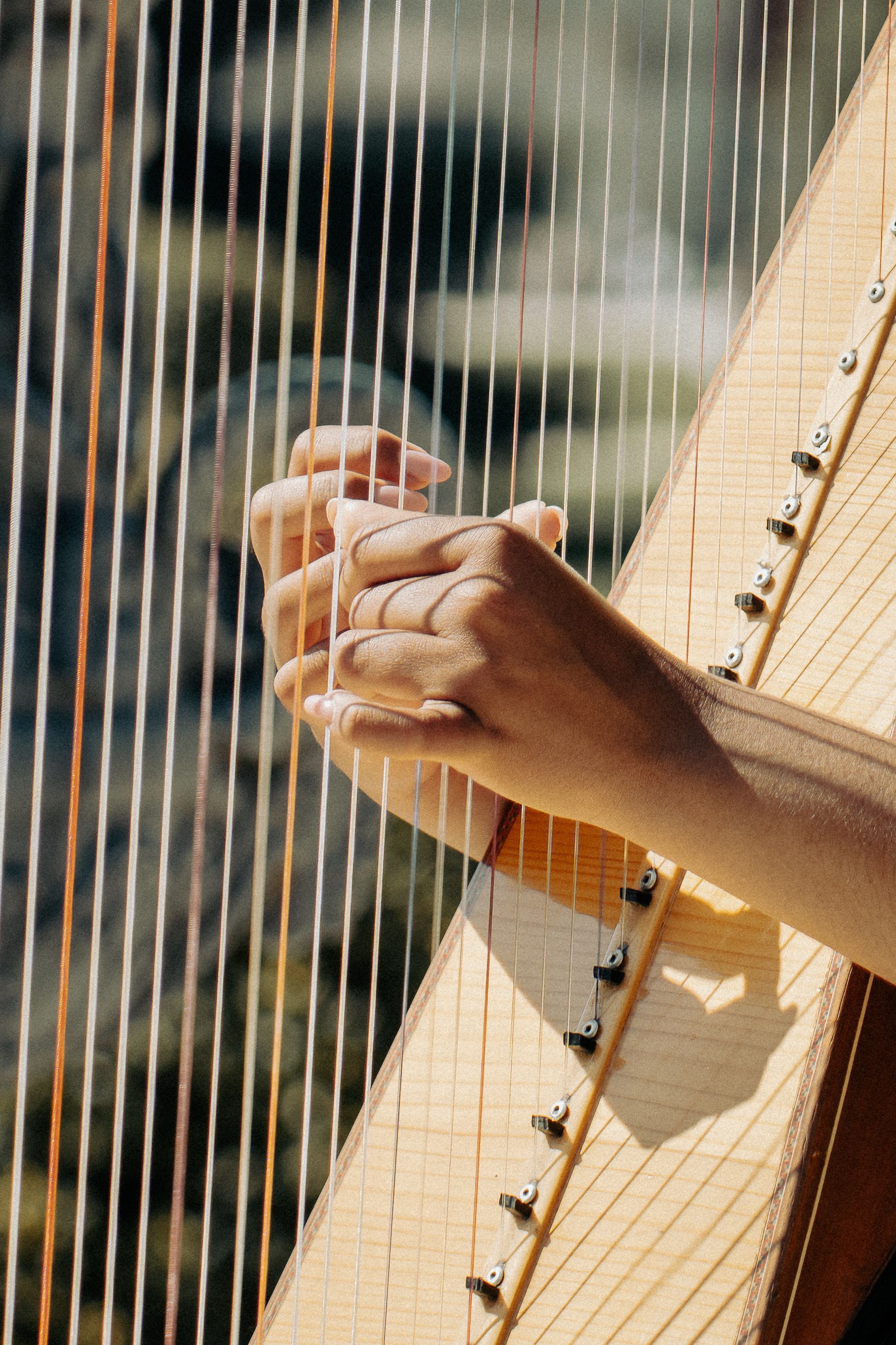 A Person Playing Harp · Free Stock Photo