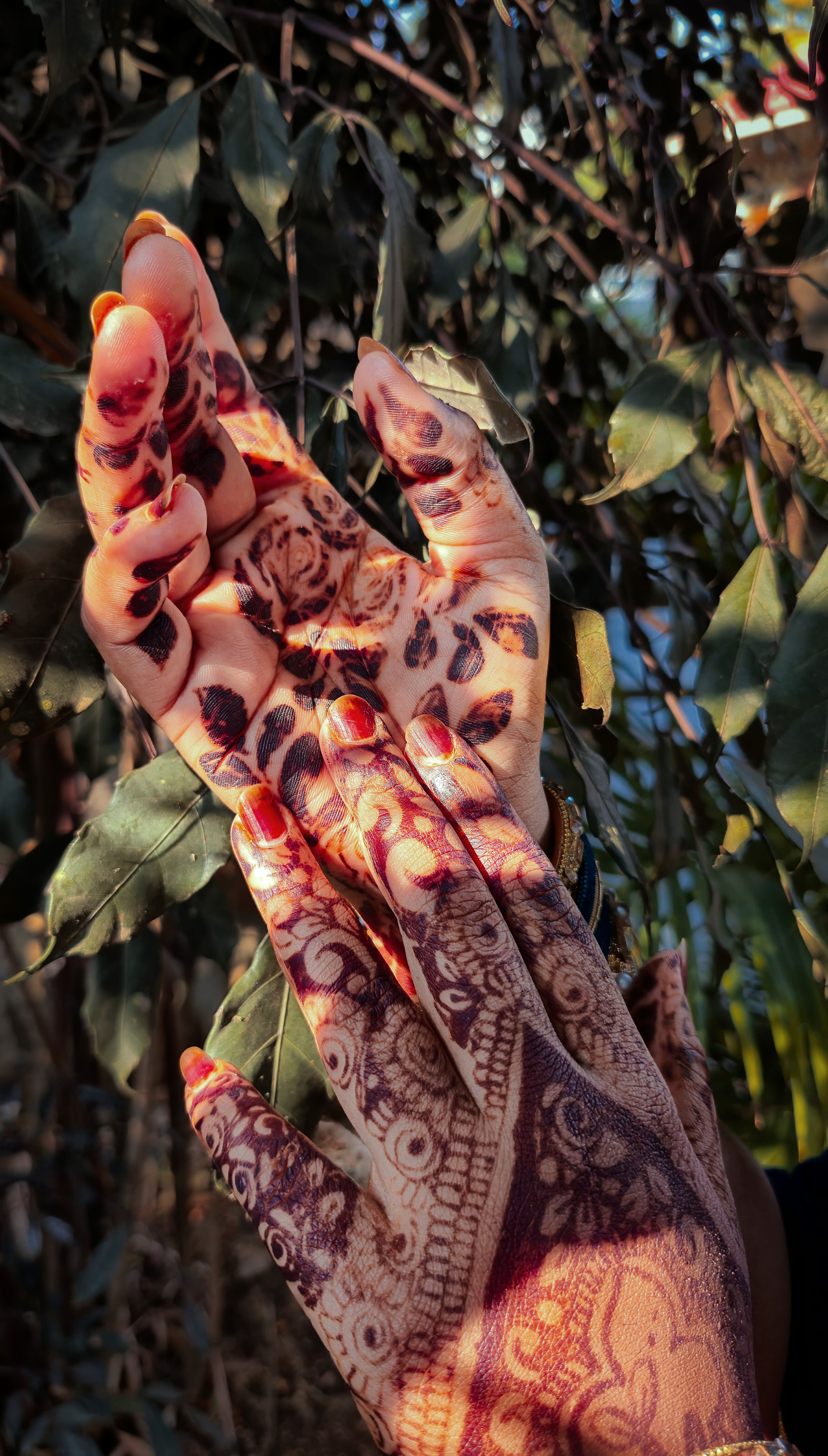 Two hands with intricate henna designs touching leaves in natural sunlight.