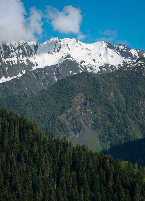 Free Breathtaking view of snow-capped mountains above lush green forests under a clear blue sky. Stock Photo