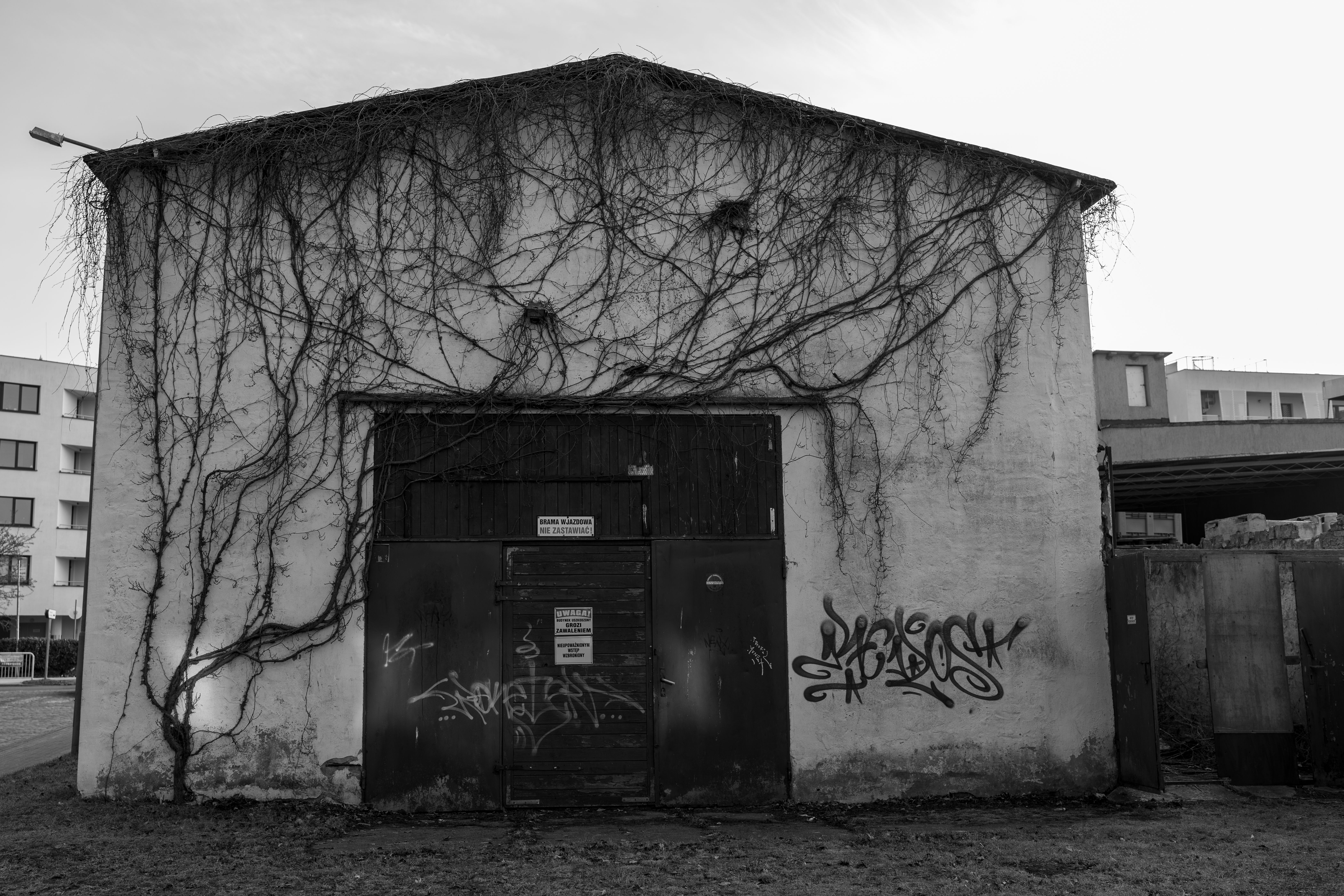 Ücretsiz Polonya'nın Kołobrzeg kentinde bulunan, grafiti ve sarmaşıklarla kaplı terk edilmiş bir deponun siyah beyaz fotoğrafı. Stok Fotoğraflar