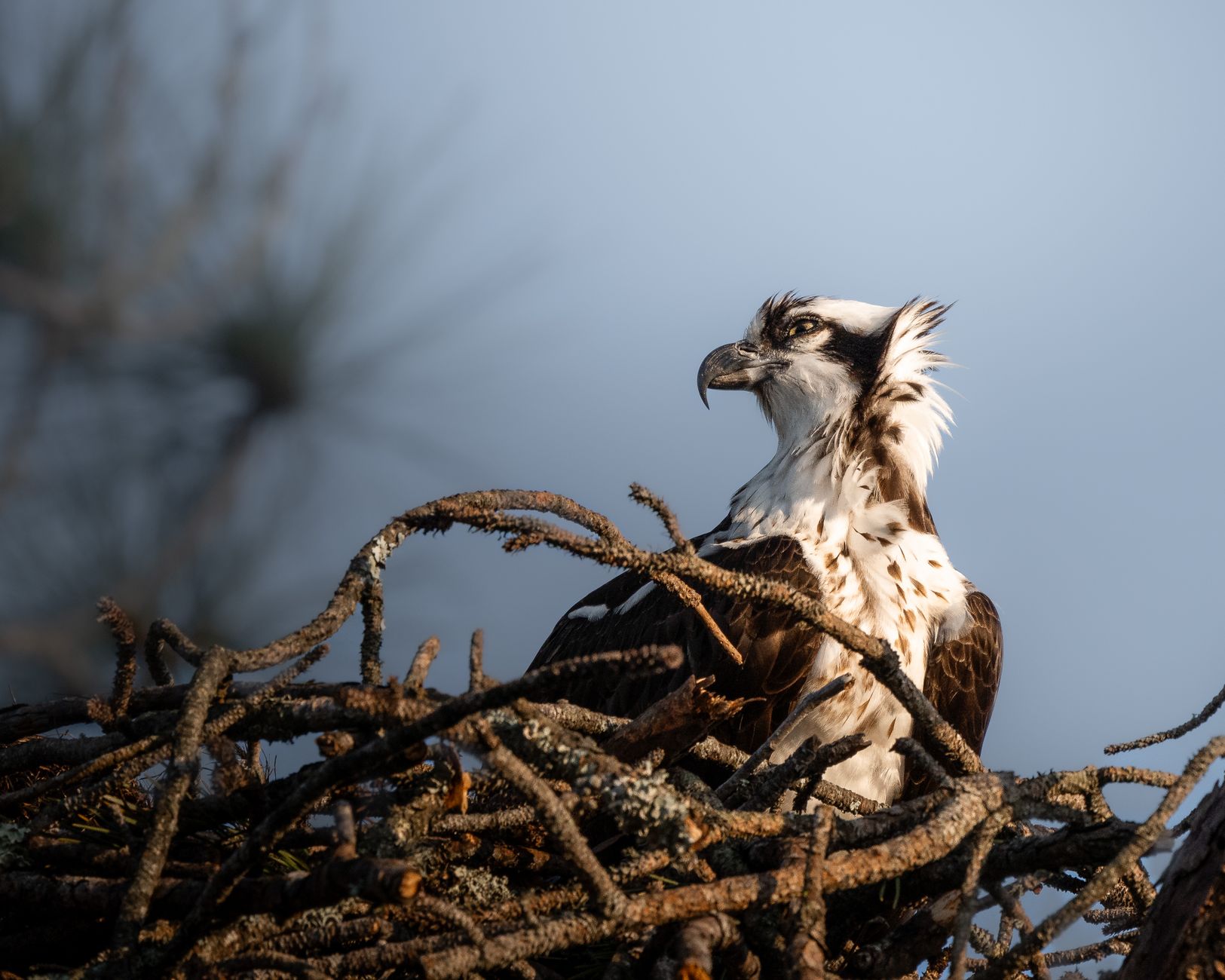 Eagles Nest Retreat