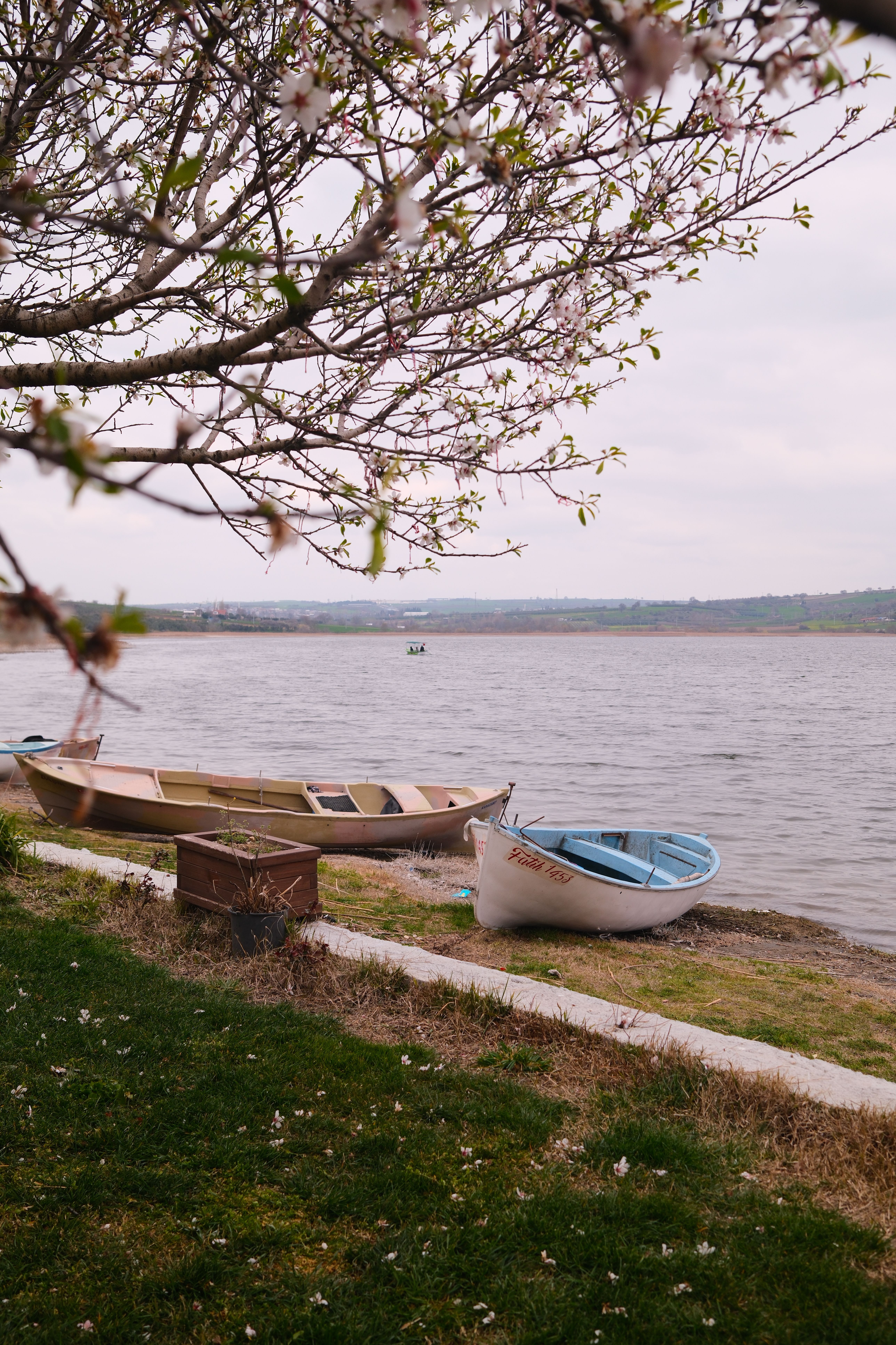 Tranquil Lakeside View with Boats in Spring · Free Stock Photo