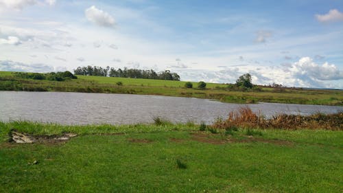 Free stock photo of small farm dam