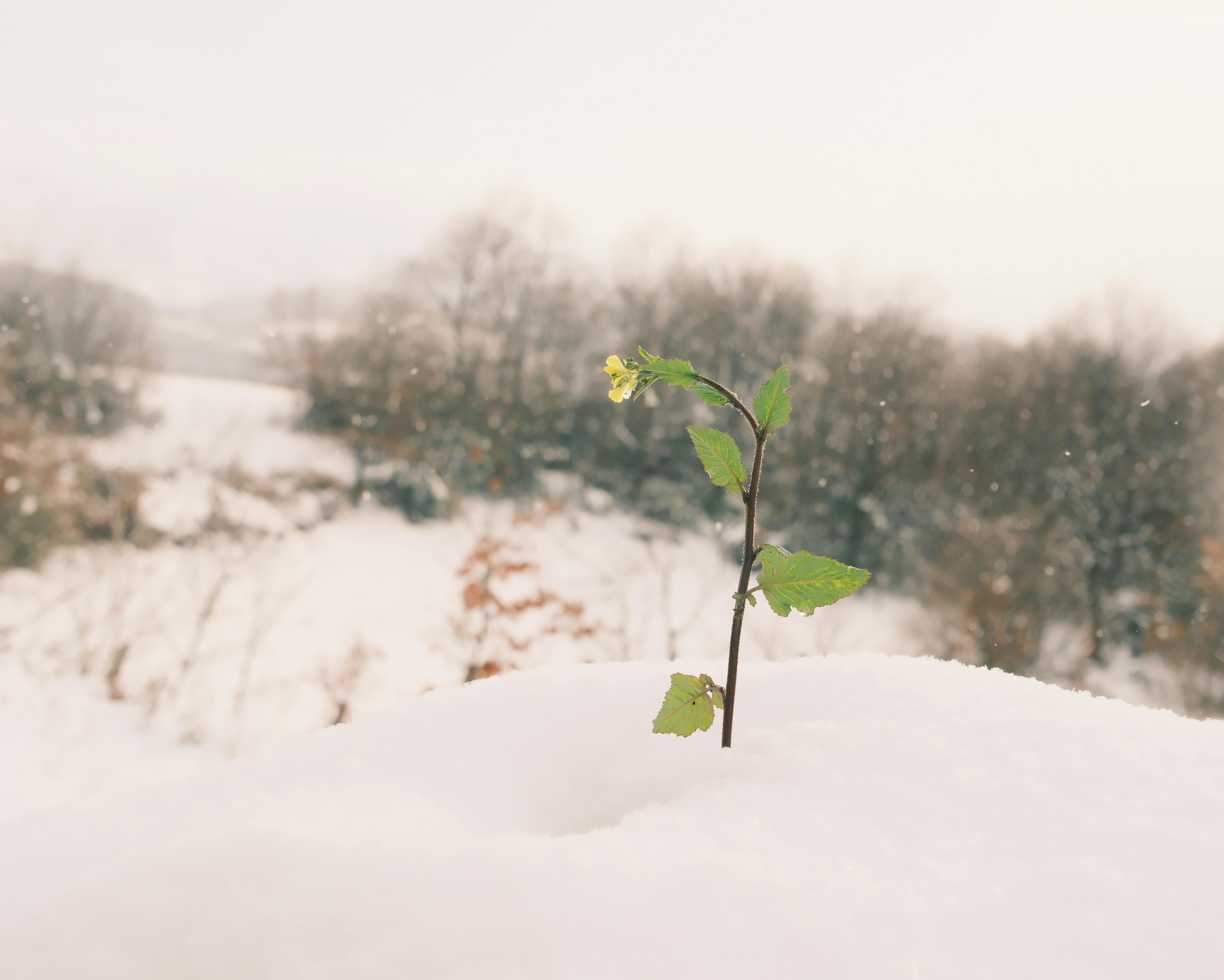 climate resilience climate policy — Photo by kirpiklipencere on Pexels