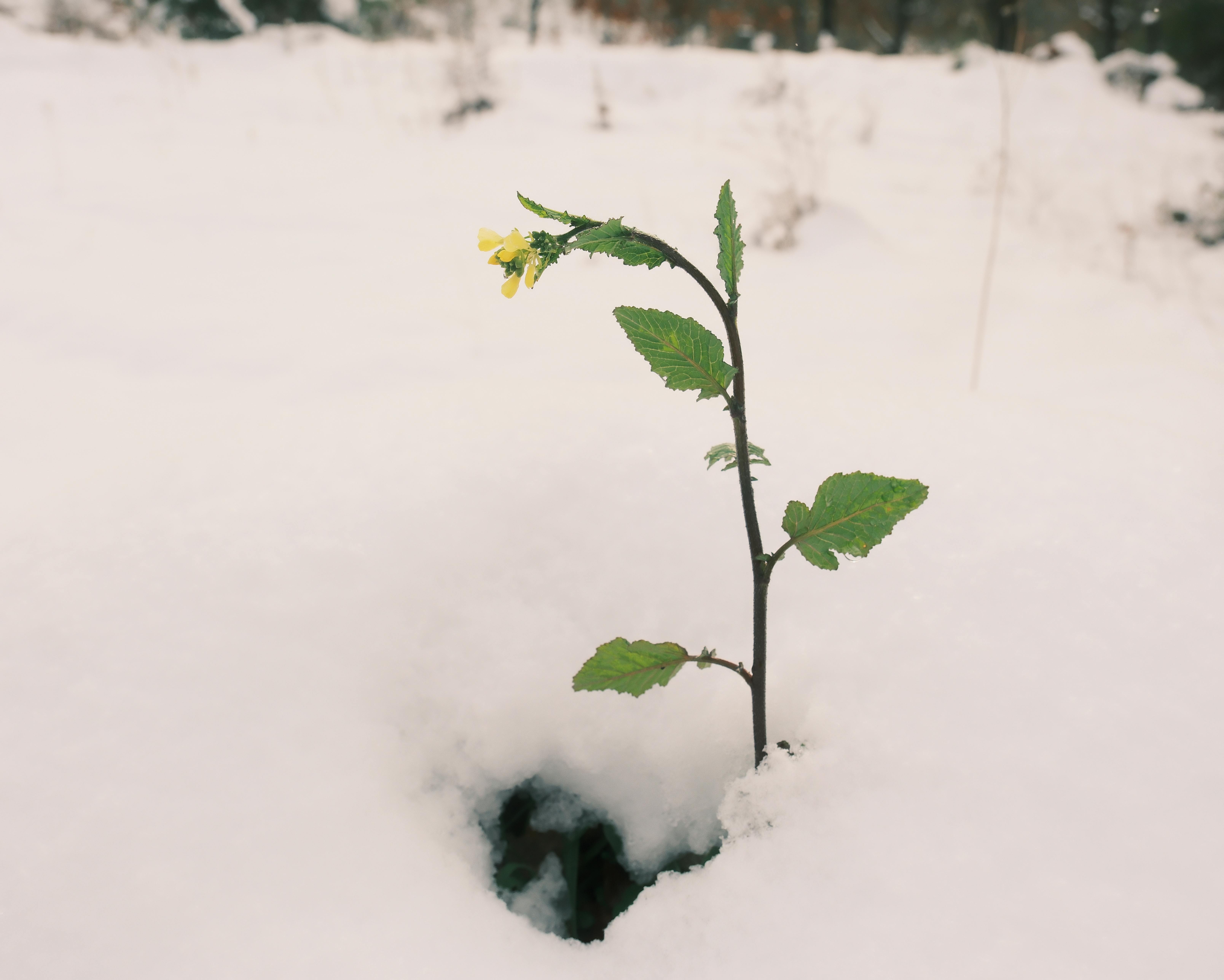 Indigenous Climate Resilience Network Lists Free UNEP-Recognized Drinking Water Infrastructure Planning Tool — Photo by kirpi