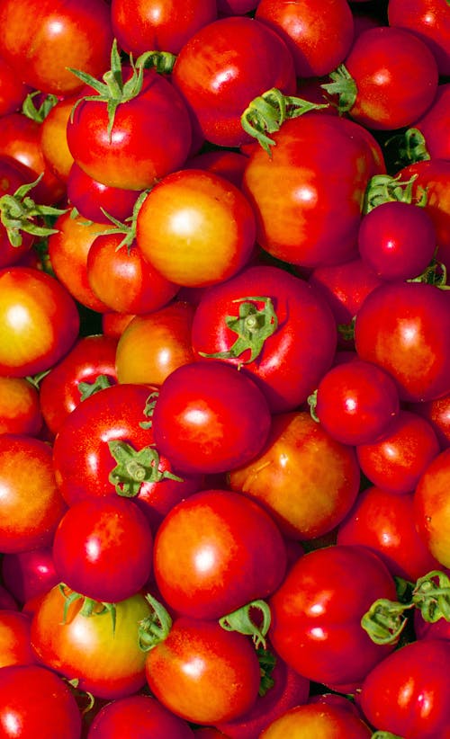 Free stock photo of fruit, nikon, phone