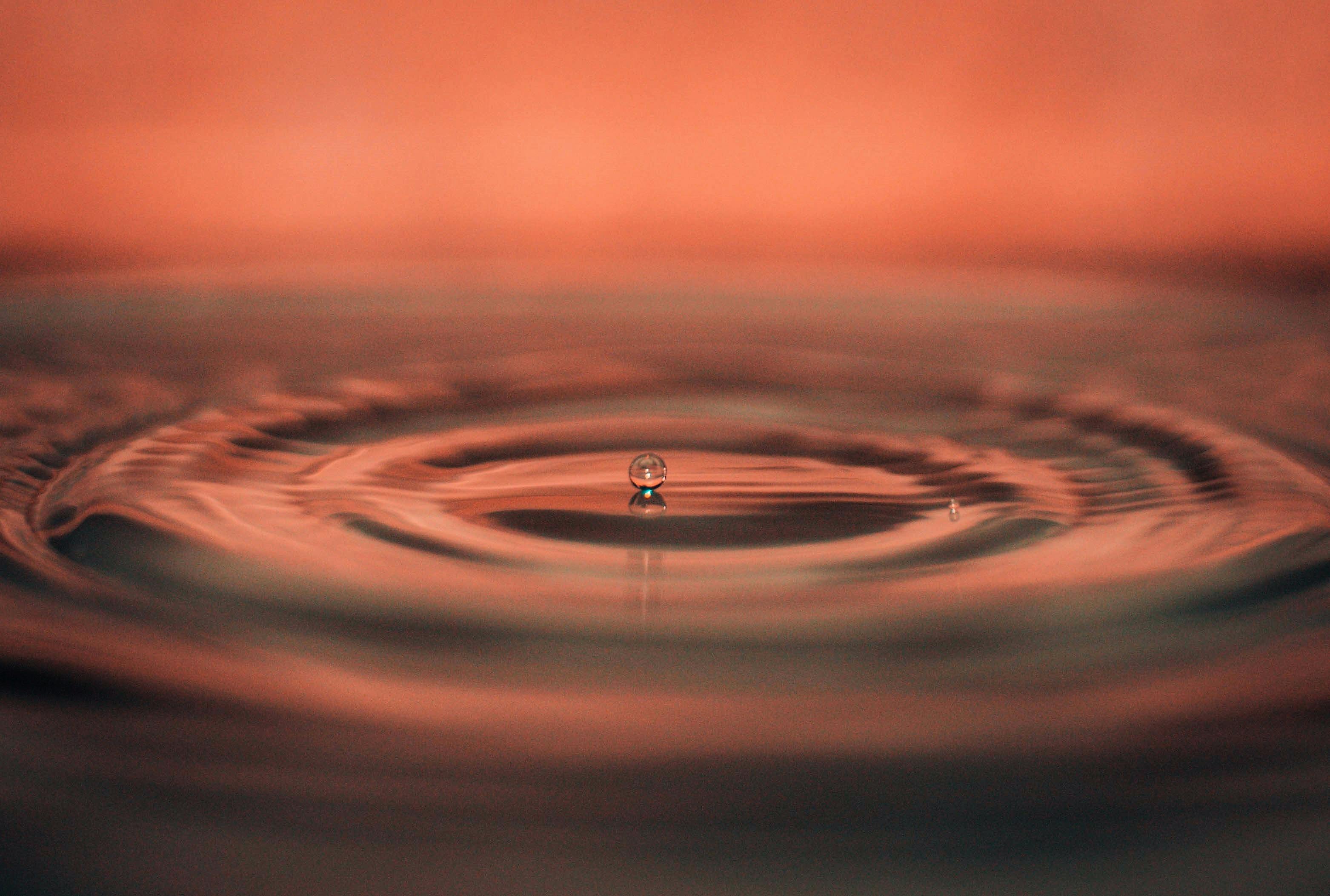 Semiconductor Momentum Builds Beyond Technology Stock Trends And AI — Photo by Original Mind on Pexels