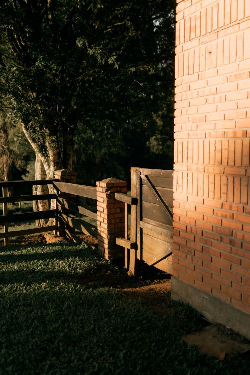 Free Warm sunlight casting shadows on a brick wall and wooden gate in a rural setting. Stock Photo