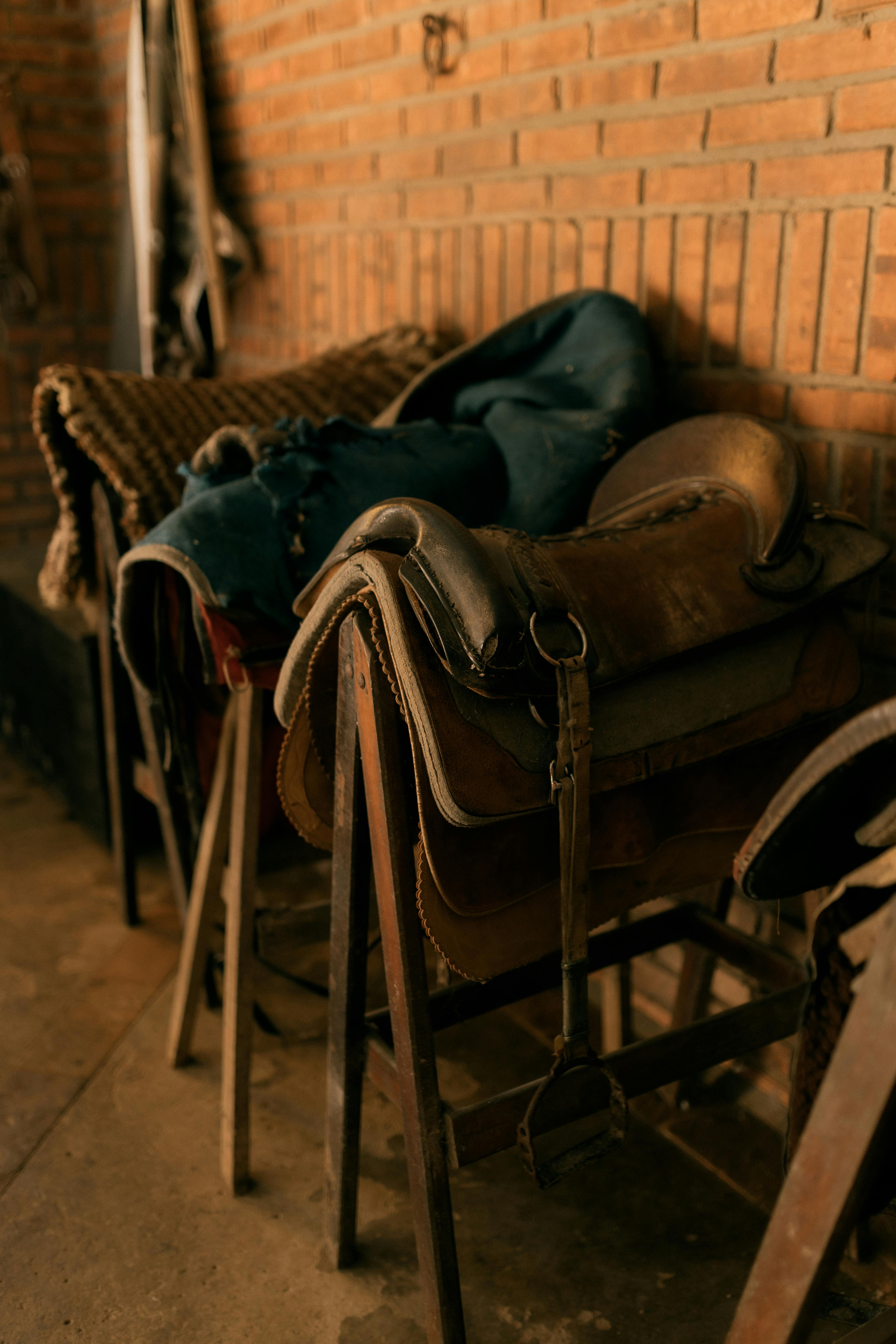A collection of vintage horse saddles rests on stands in a rustic stable setting.