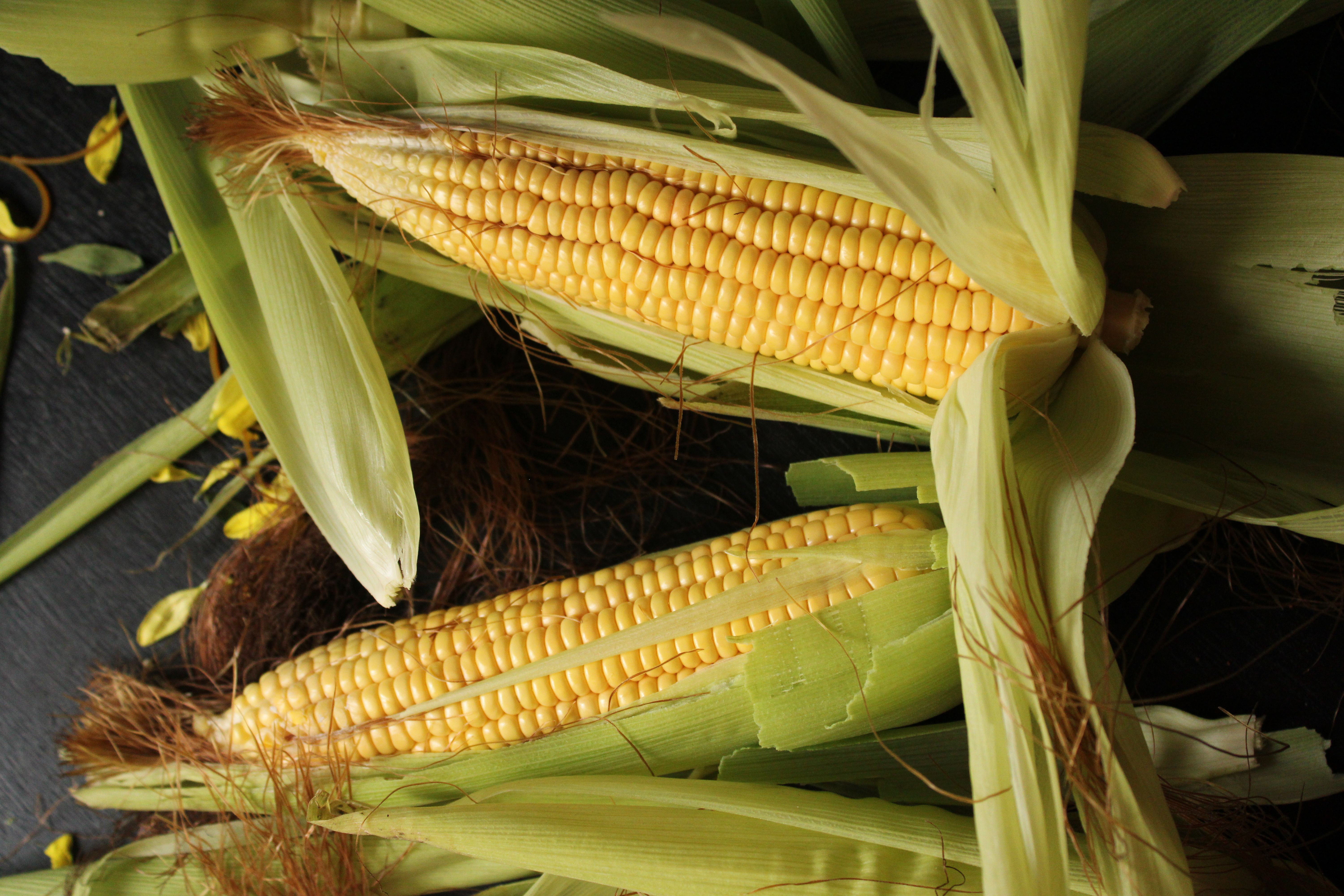 Corn silk Natural Herb