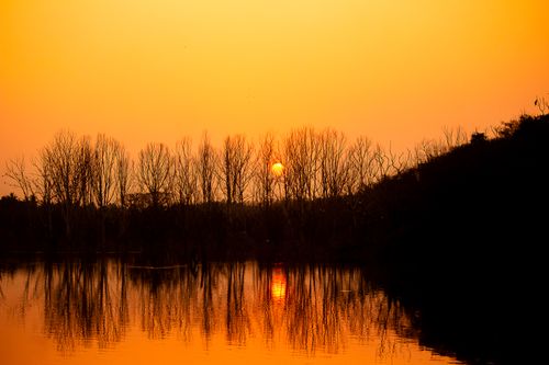 Free A serene sunset over a lake with reflections of bare trees, creating a warm, peaceful ambiance. Stock Photo