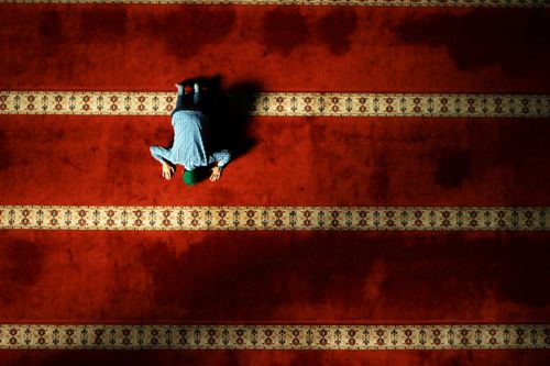 Free A single person in prayer on a beautifully patterned carpet in a mosque, viewed from above. Stock Photo