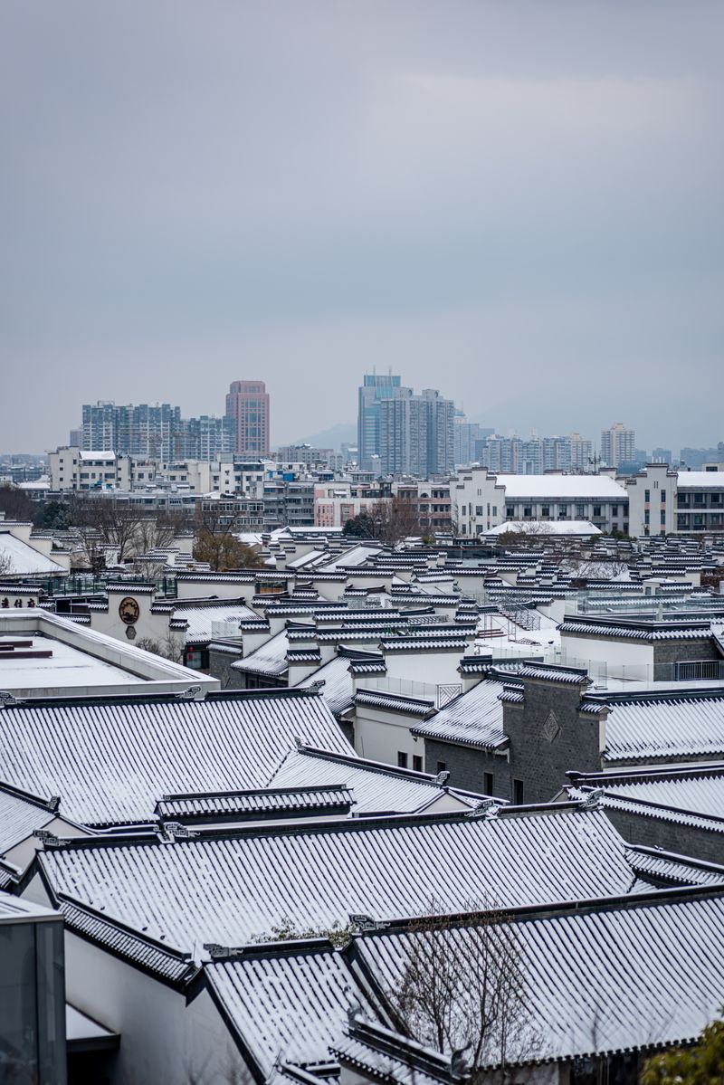 Traditional Chinese Architecture Rooftop View · Free Stock Photo
