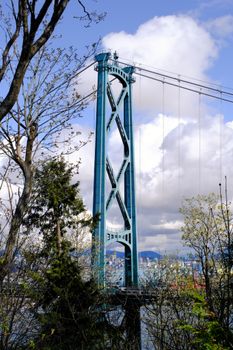 Scenic view of the iconic Lions Gate Bridge framed by trees in Vancouver, Canada.
