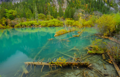 Free Beautiful turquoise lake surrounded by lush forest in a serene landscape. Stock Photo