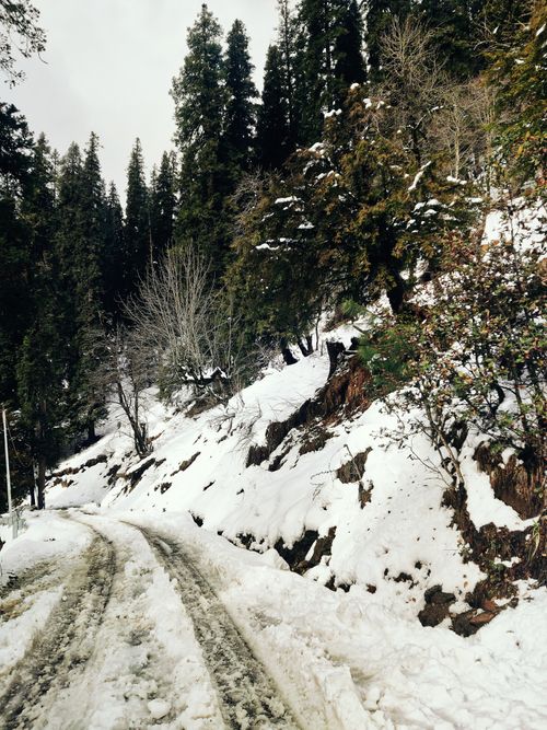 Free Scenic snowy road winding through a forest, ideal for winter travel themes. Stock Photo