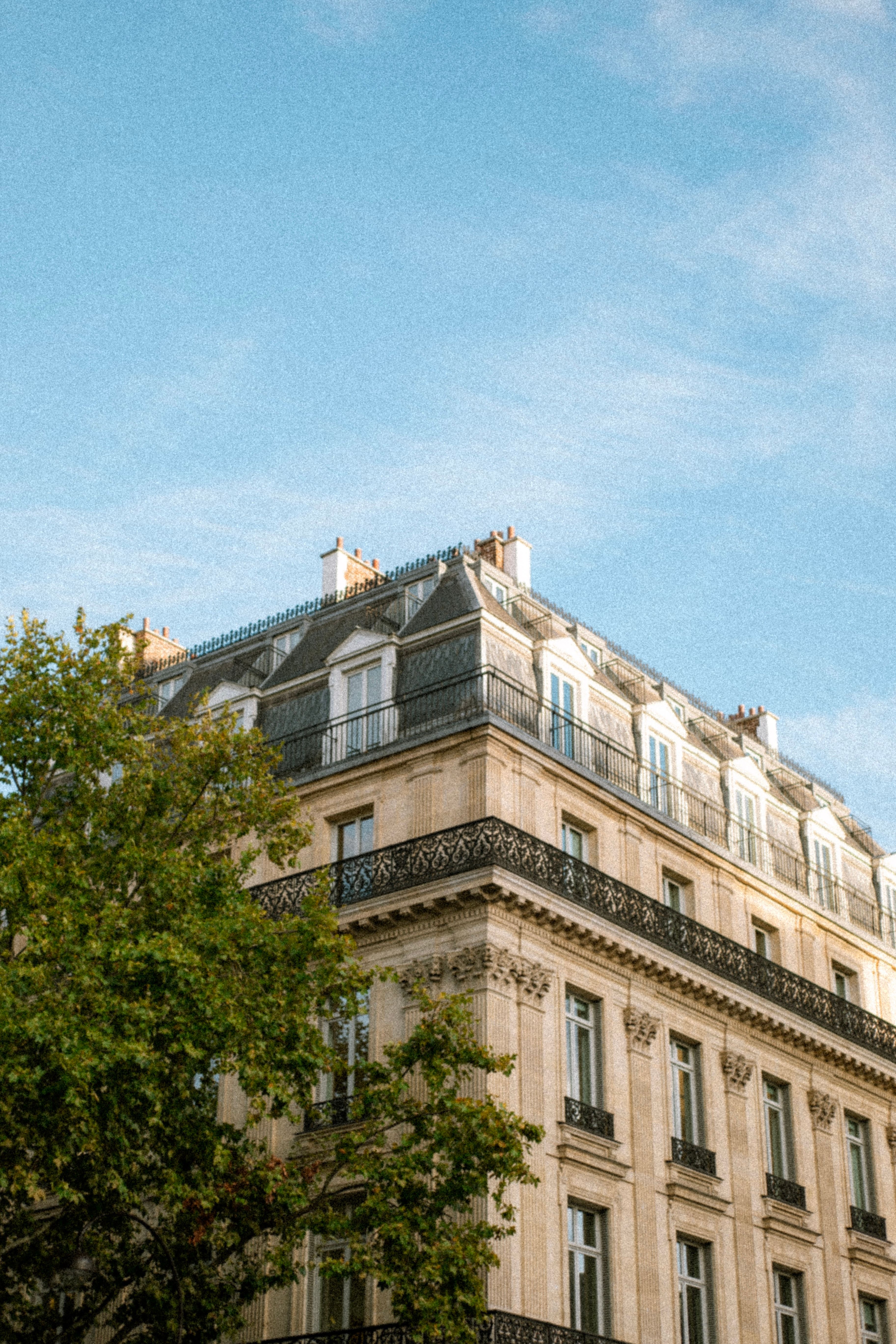 Alignement de façades haussmanniennes se détachant sur un ciel bleu franc.