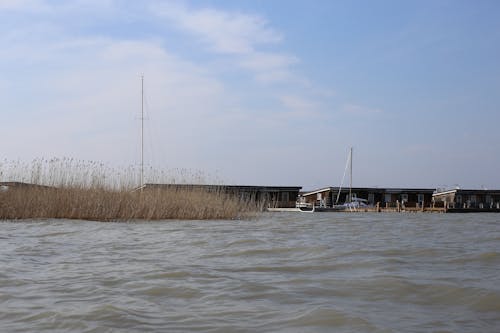 Бесплатное стоковое фото с белый, брызги, вода