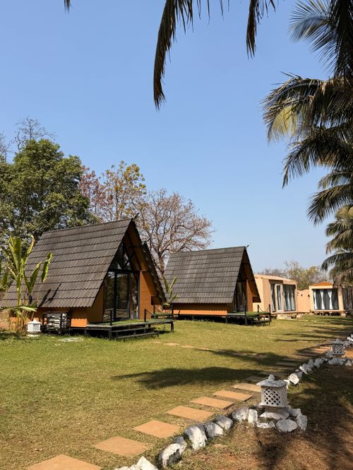 Free Picturesque A-frame cabins with wooden roofs amidst lush greenery and clear blue skies. A serene retreat. Stock Photo
