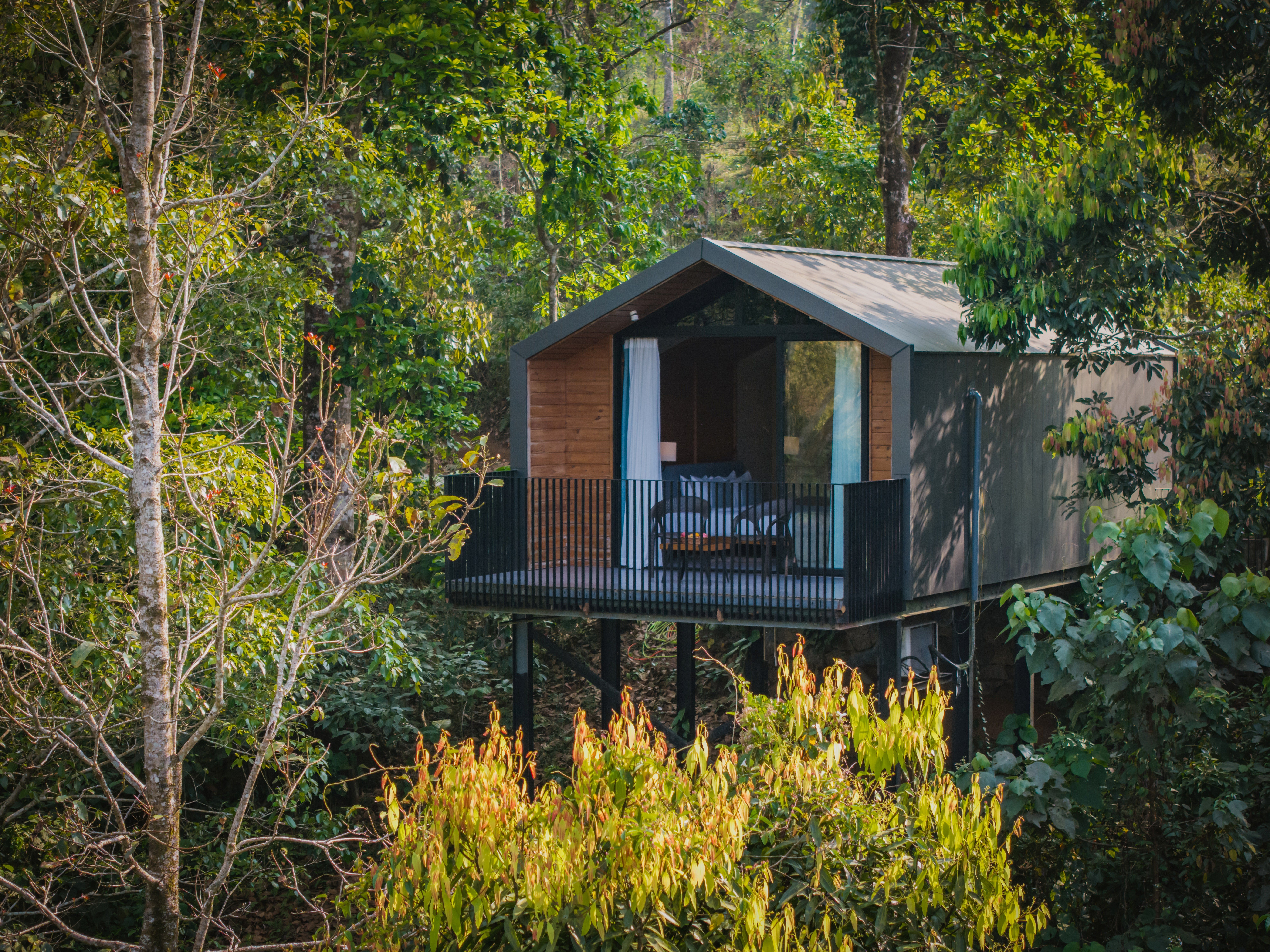Cabane perchée dans les arbres, nichée au cœur d'une forêt luxuriante, idéale pour une escapade sereine.