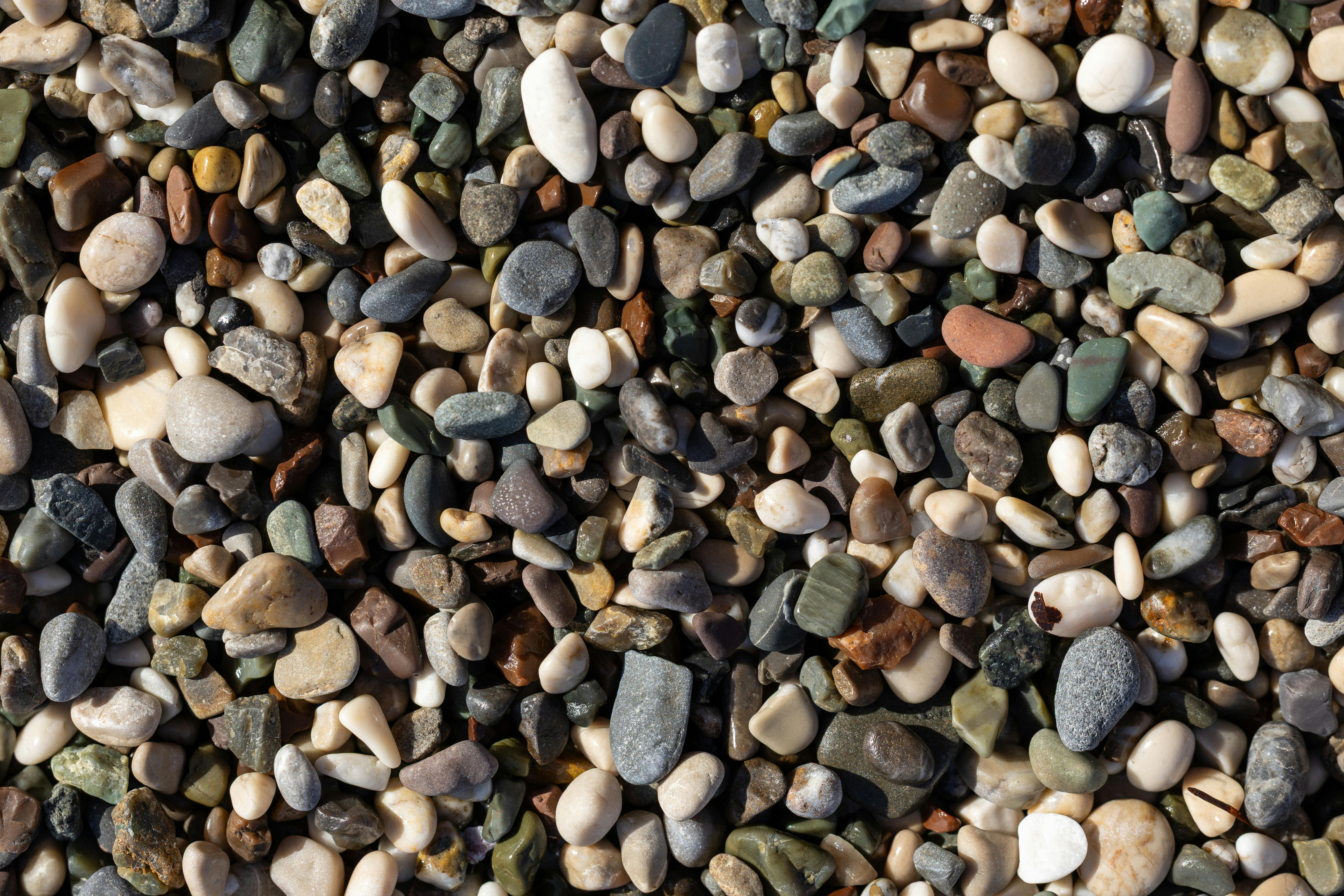 A detailed close-up of assorted pebbles and stones with diverse colors and textures.
