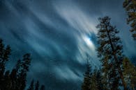 宁静的夜空中，松树的轮廓映衬着星星与云朵，非常适合自然爱好者