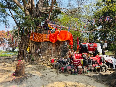 Vibrant shrine under a sacred tree in Butwal, Nepal, adorned with colorful fabrics and offerings.