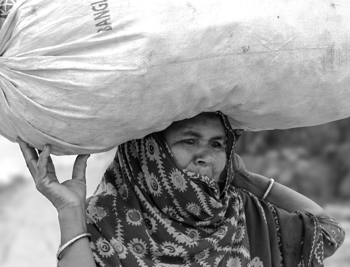 ebay and marketplace delivery in Ascot — Loaded properly: blankets, straps and a plan in Ascot