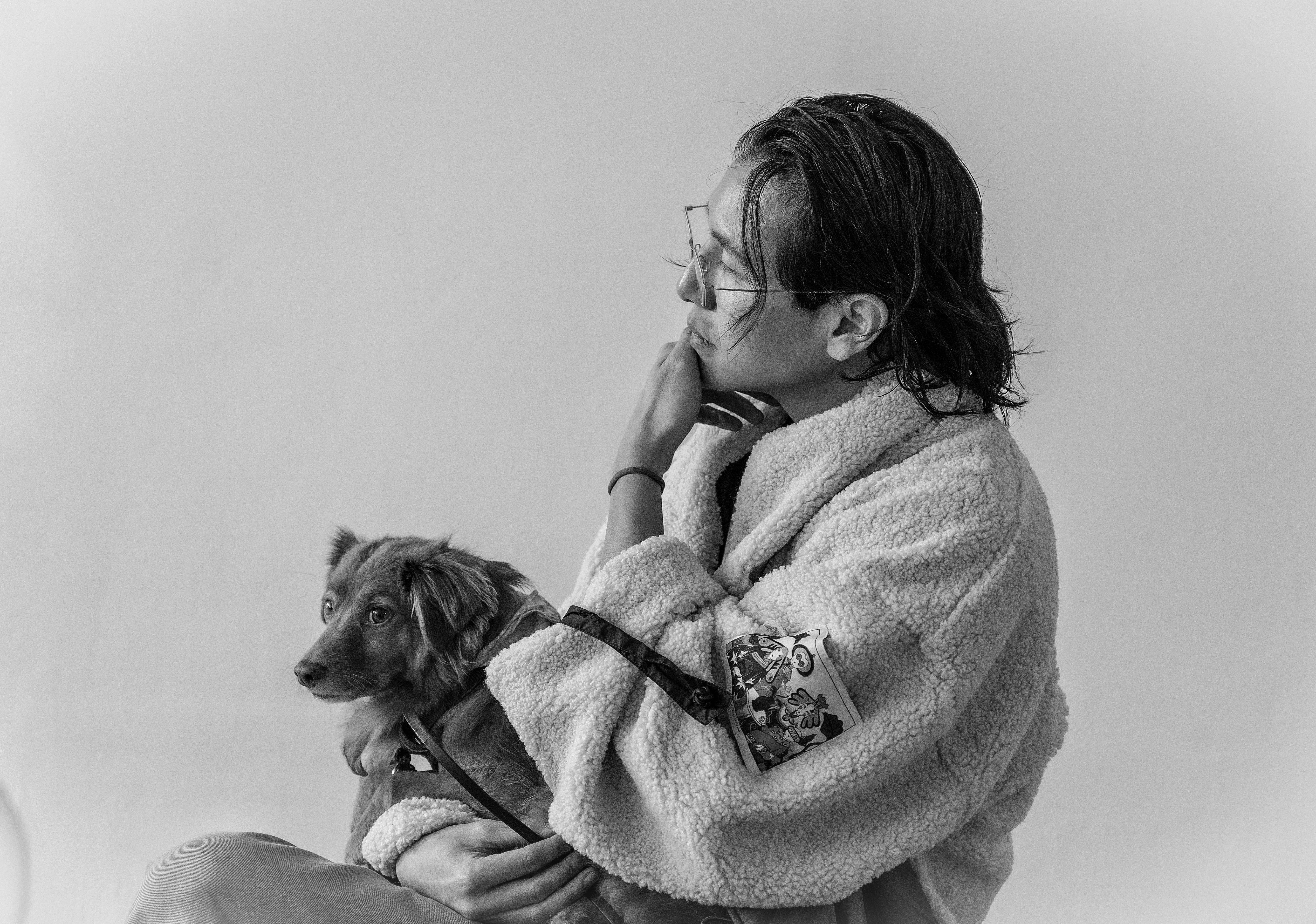 pet lifestyle more lifestyle pets — Photo by Narmin Aslanli on Pexels