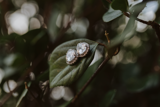 Pair of diamond earrings resting elegantly on a green leaf in a natural setting.