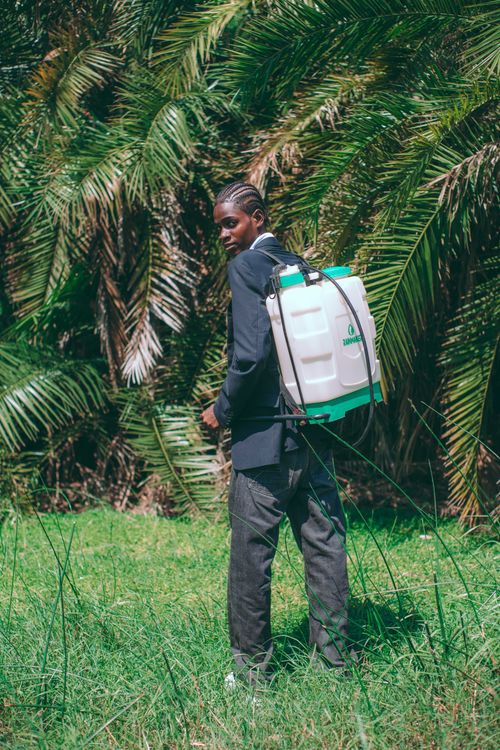 Pest Control and Agrochemical Services African agrochemical spraying worker with backpack sprayer