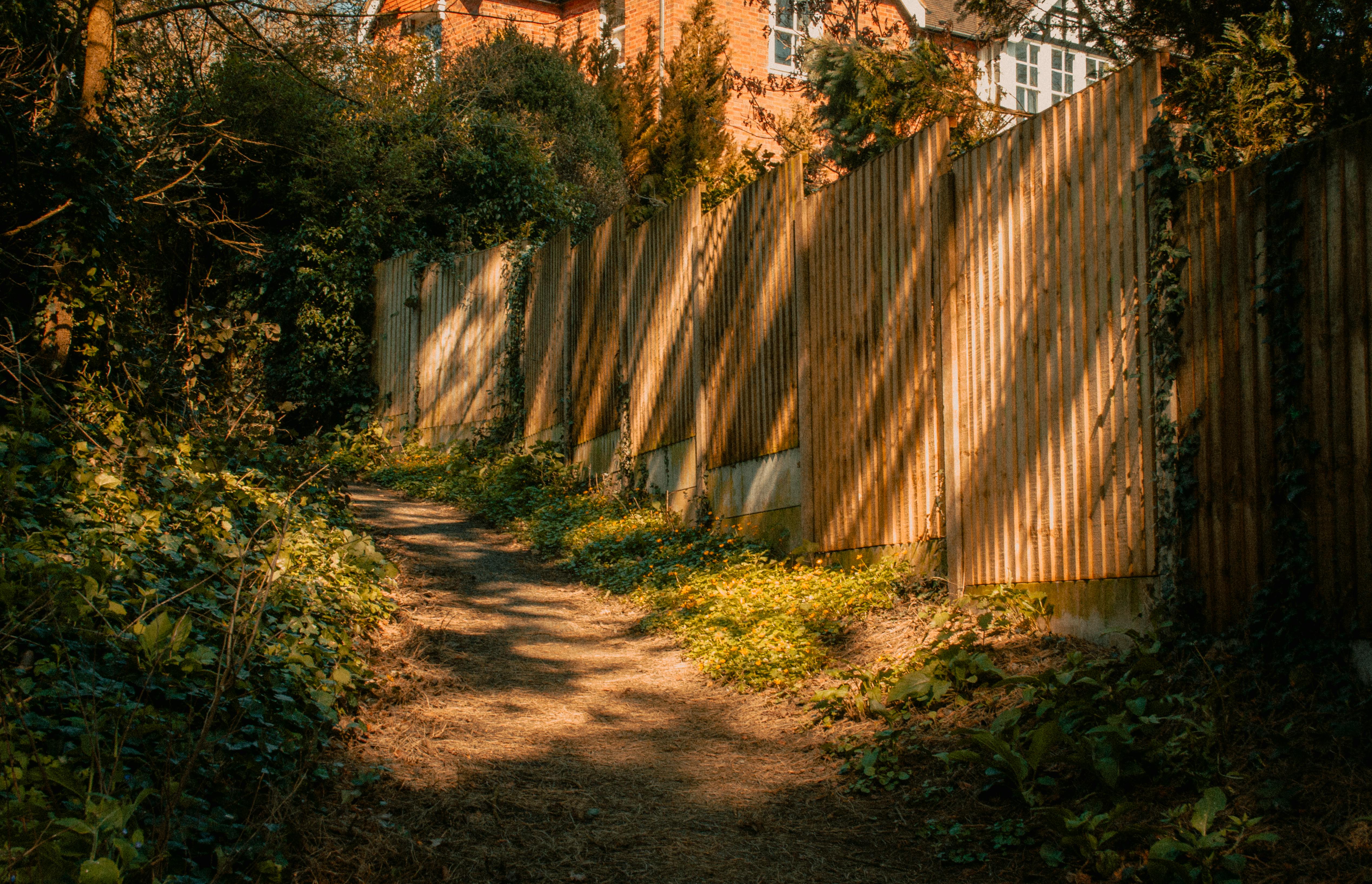 Social rules as a discovery path to streaming and gaming — Photo by Daniel  Wells on Pexels