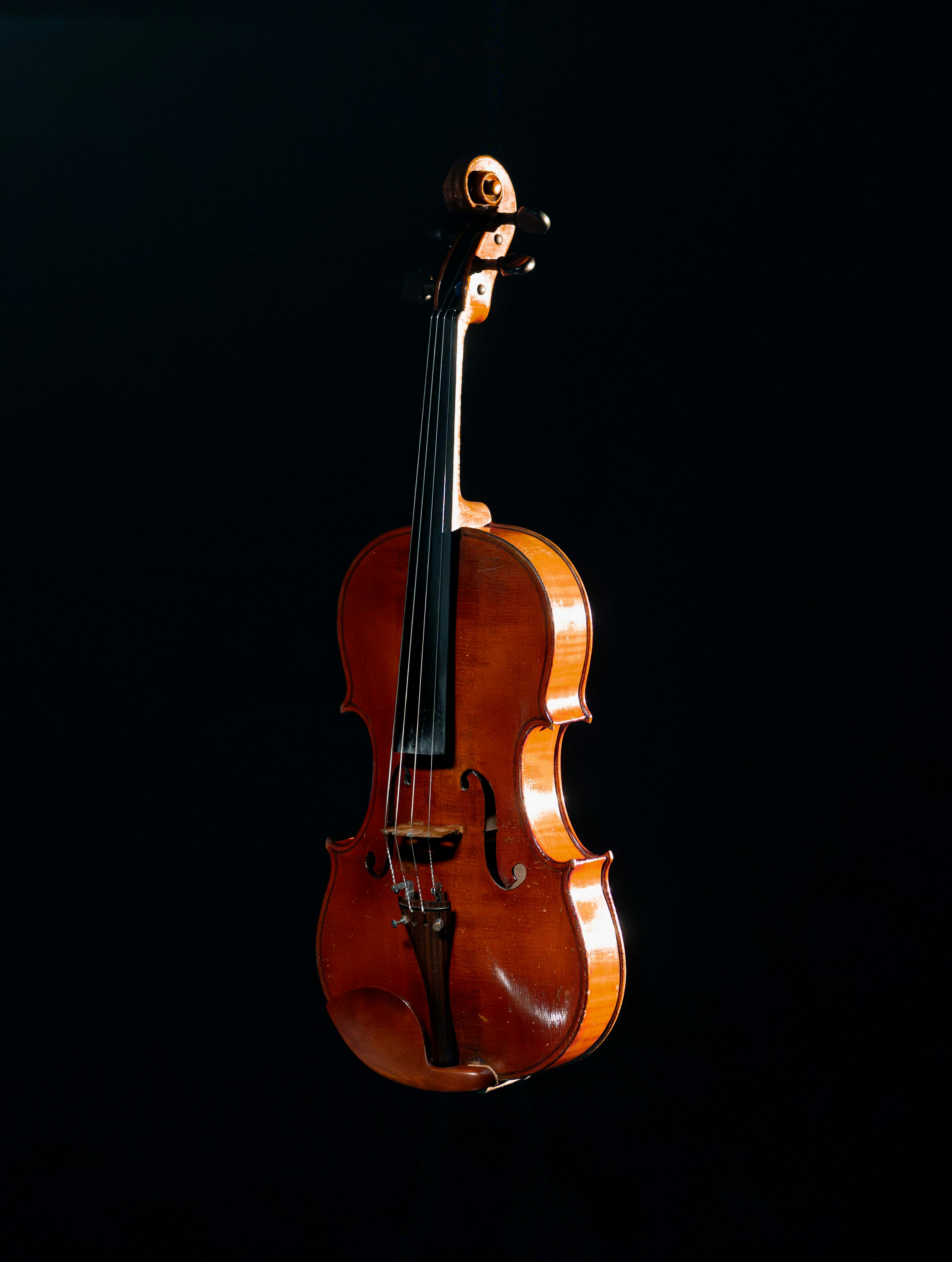 A detailed close-up of a violin set against a dark background, showcasing its rich wooden texture.