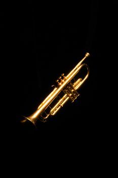 A shiny golden trumpet beautifully highlighted against a deep black background.